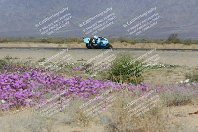 media/Feb-04-2023-SoCal Trackdays (Sat) [[8a776bf2c3]]/Turn 15 Inside Blooming (1050am)/